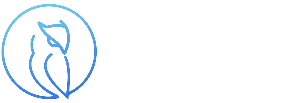 Overwatch Data